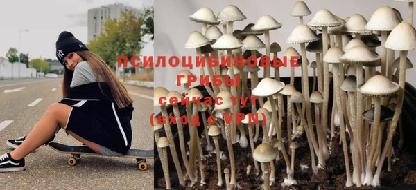 стаф Покров